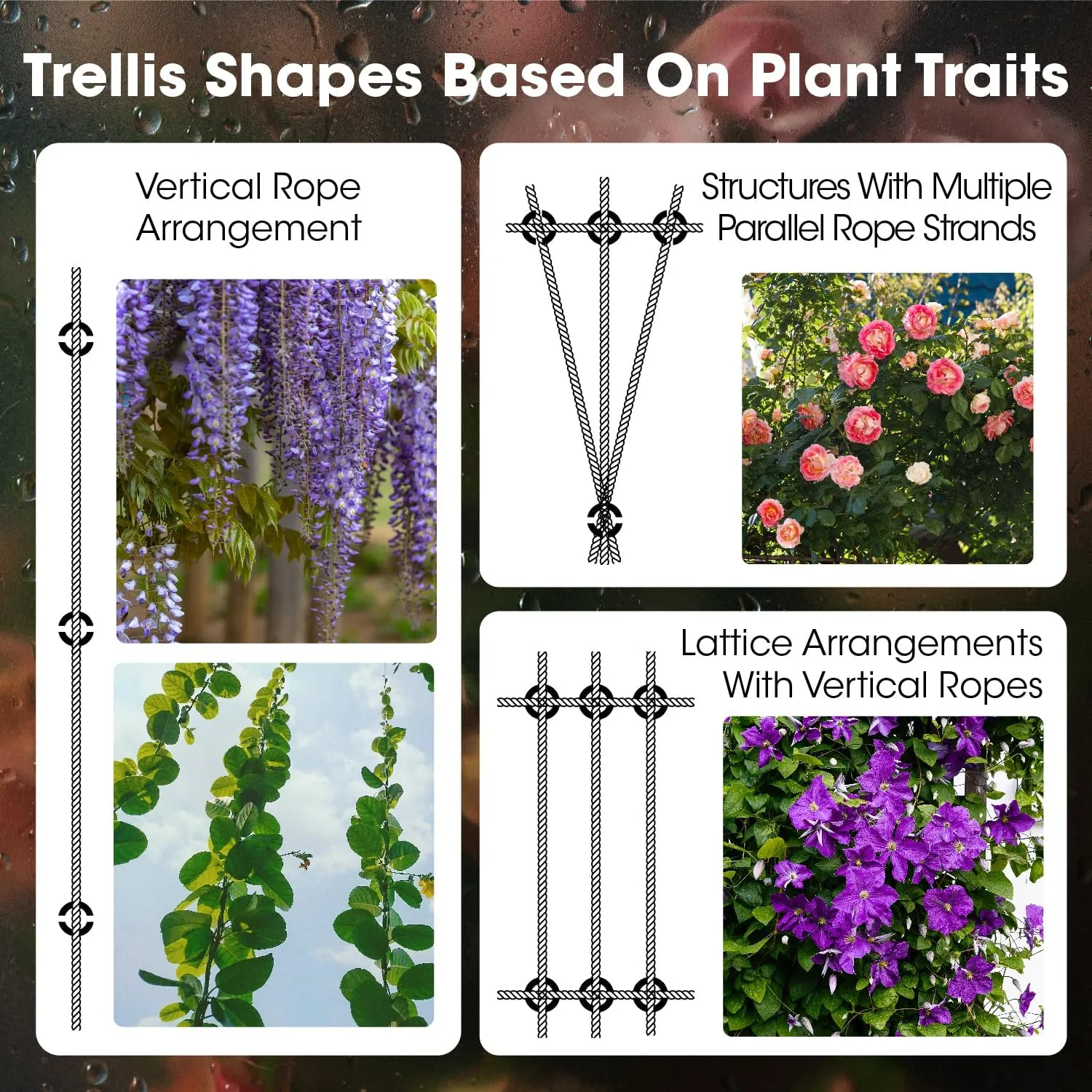 10 Sets Cylindrical Hubs,Wall Trellis Kits System, Wire Trellis for Climbing Plants Outdoor, with 53Ft x 1/8" Wire Rope, T316 Stainless Steel Heavy Duty Cable Trellis System,WT002