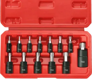 13-Piece Torx Bit Socket Set, 1/4”, 3/8” and 1/2” Drive T8-T60 Star Socket Set, S2 Steel Bits and CR-V Sockets with Storage Case