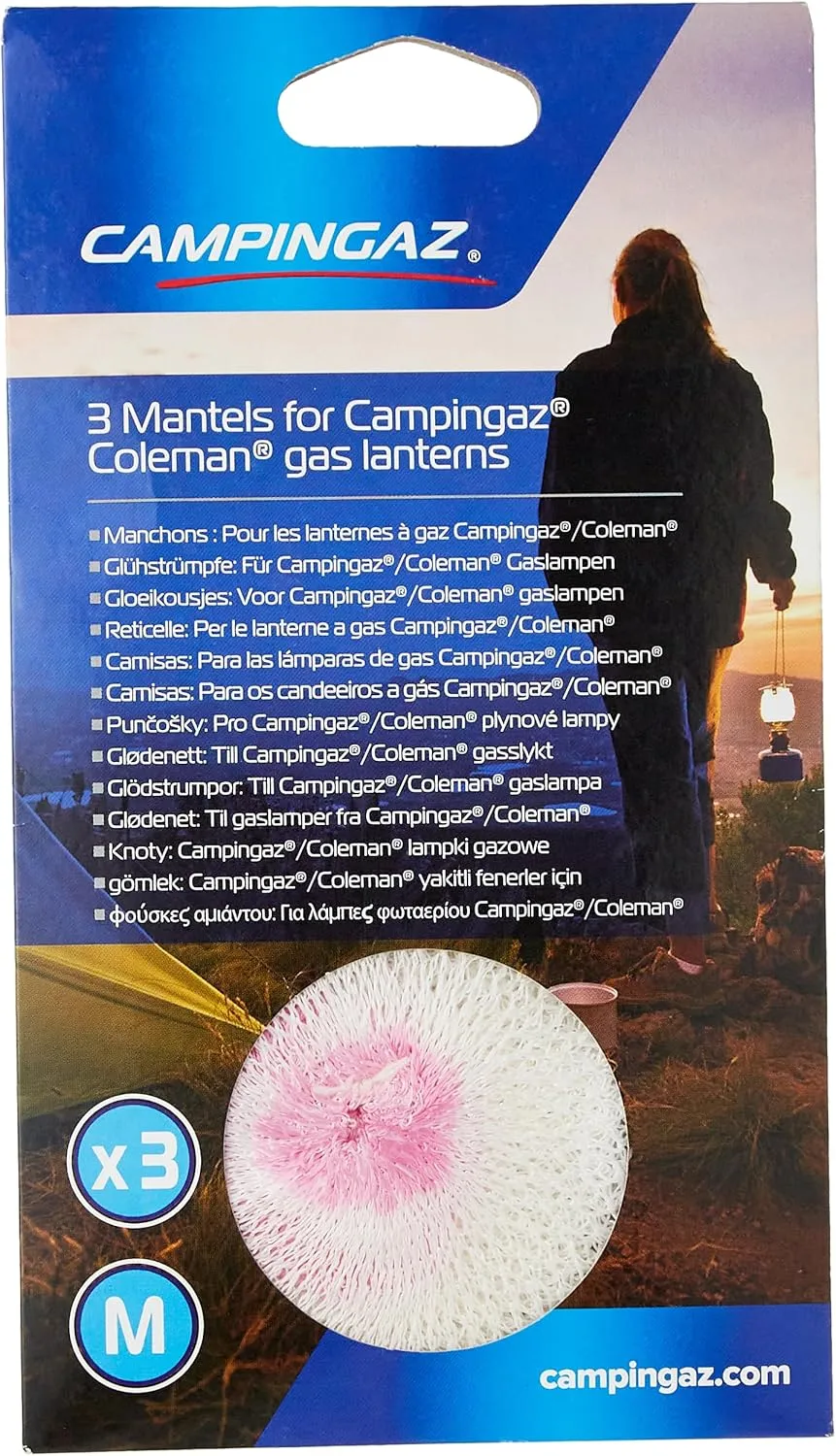 68222 Lanterns-169597 Gas Lanterns, Gr. M, Multicolor