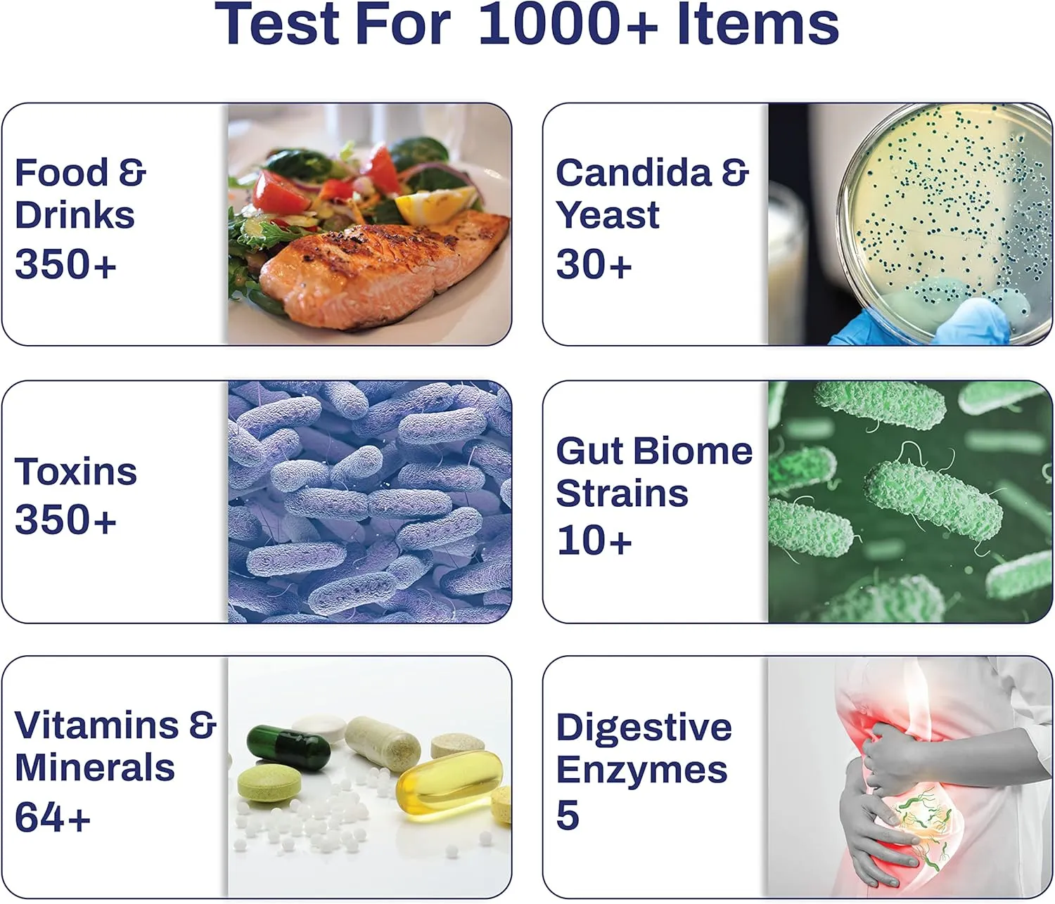 AFIL Premium | 1000  Items Tested | Food Sensitivity Intolerance Home Test for Adults & Kids | Foods, Drinks, Toxins, Vitamins, Minerals, Fatty Acids, Gut Biome, Candida, Digestive Health