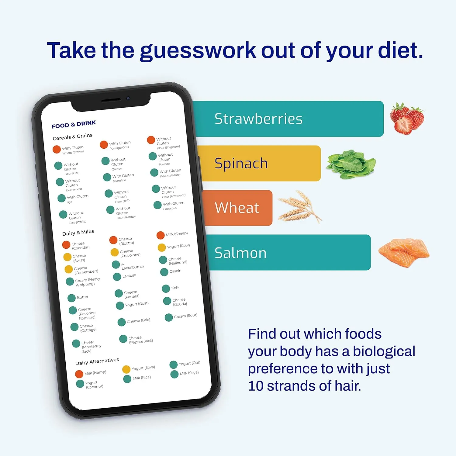 AFIL Premium | 1000  Items Tested | Food Sensitivity Intolerance Home Test for Adults & Kids | Foods, Drinks, Toxins, Vitamins, Minerals, Fatty Acids, Gut Biome, Candida, Digestive Health