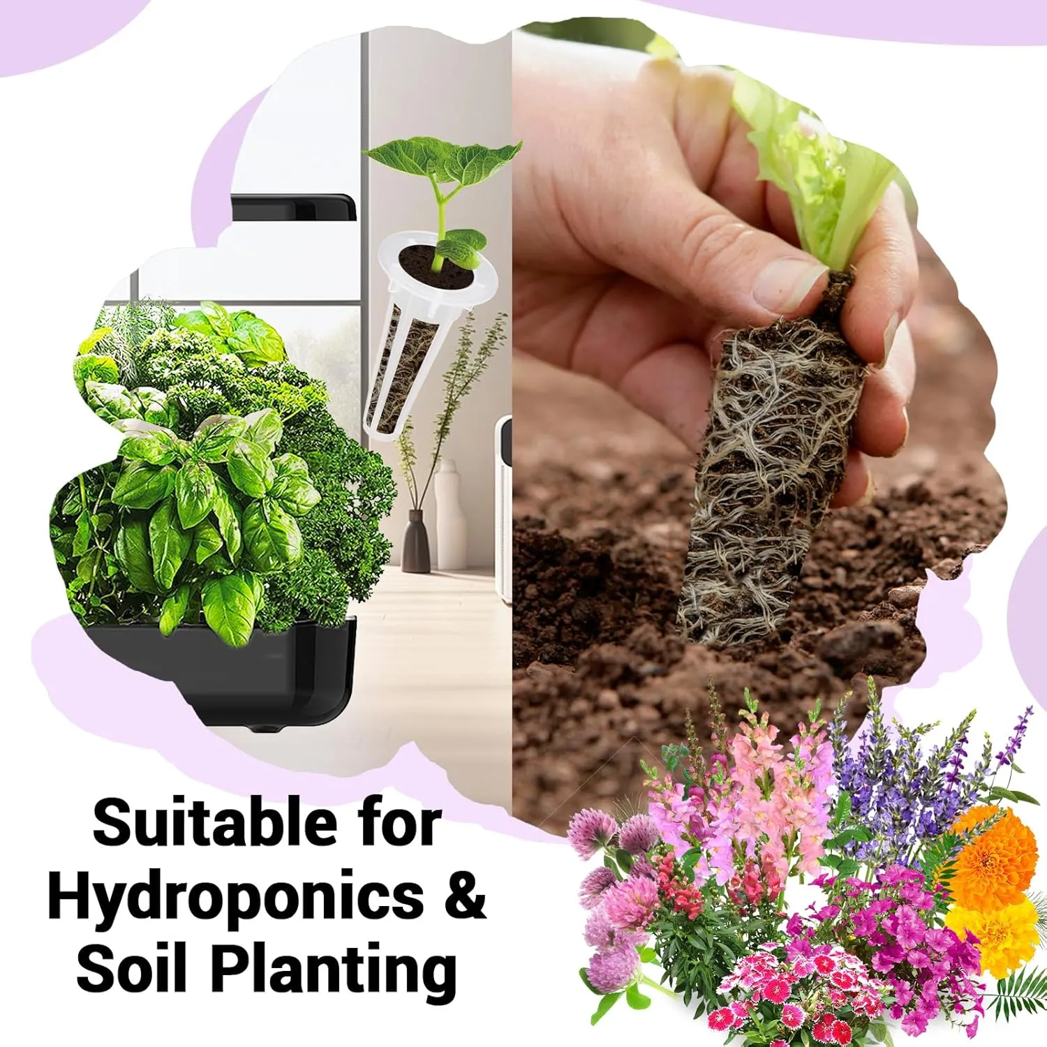 Flower Seed Pods for All Hydroponics Growing System, 8 Pods with 600  Seeds of Marigold, Lavender, Petunia, Dark Pink Dianthus, Clover and Snapdragon