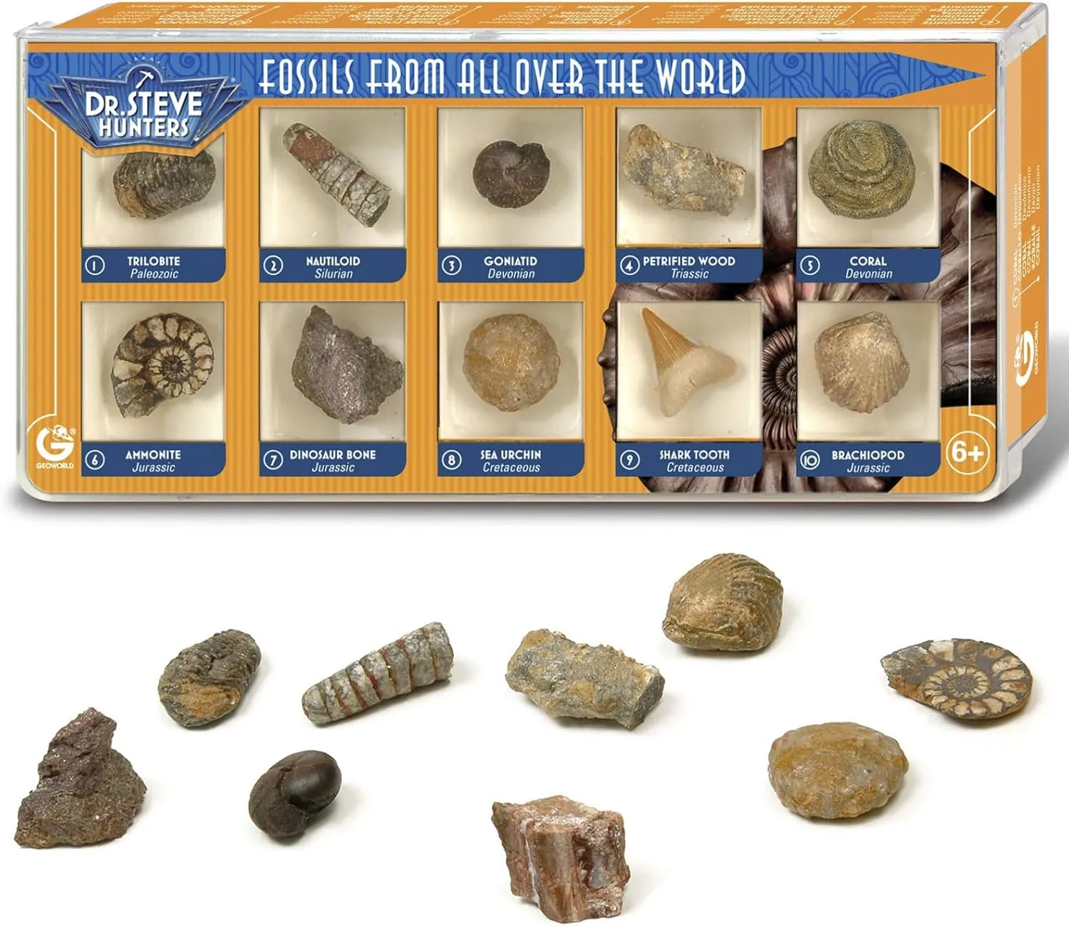 Geoworld Fossil Discovery Kit - Collection of 10 Authentic Fossils with Magnifying Glass - Interactive Paleontology Learning Toy for Kids Ages 6 