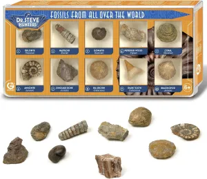 Geoworld Fossil Discovery Kit - Collection of 10 Authentic Fossils with Magnifying Glass - Interactive Paleontology Learning Toy for Kids Ages 6 