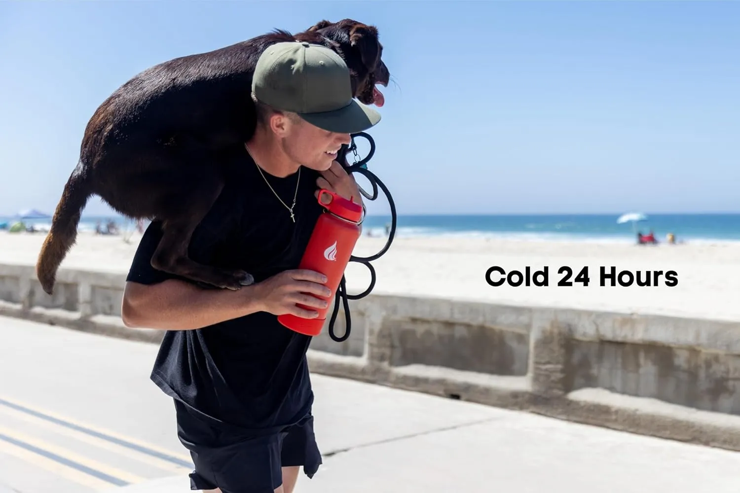 HYDRO CELL Stainless Steel Insulated Water Bottle with Straw - For Cold & Hot Drinks - Metal Vacuum Flask with Screw Cap and Modern Leakproof Sport Thermos for Adults (Mandarin 40oz)
