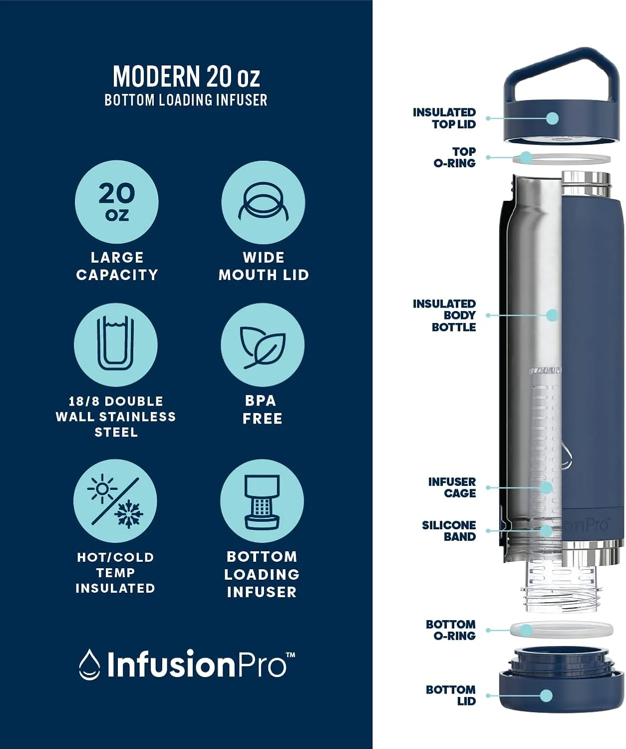 Infusion Pro Fruit Infuser Water Bottle Vacuum Insulated (20 oz) Stainless Steel : Fruit Infusion Recipe eBook : Bottom Loading Water Infuser for More Flavor : Easy Cleaning : Great Gift Water Bottle