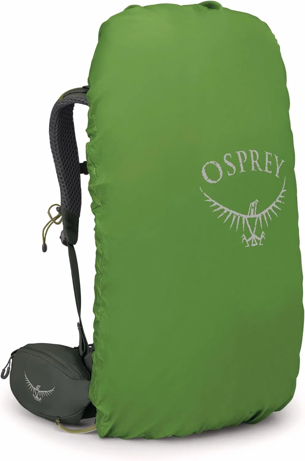Osprey Kestrel 38L Men's Backpacking Backpack, Bonsai Green, S/M