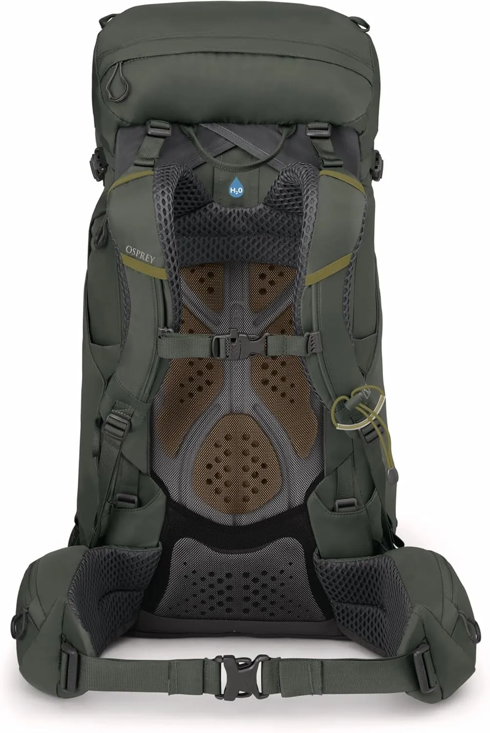 Osprey Kestrel 38L Men's Backpacking Backpack, Bonsai Green, S/M