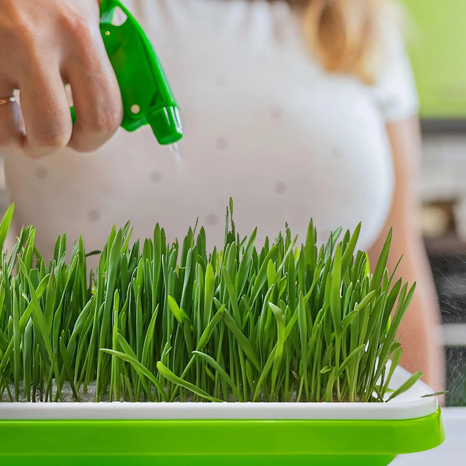 Pack 10 Seed Sprouter Tray with Drain Holes,Seed Germination Tray Kit BPA Free Nursery Tray,Soil-Free Big Capacity Healthy Wheatgrass Grower Sprouting Container Kit..