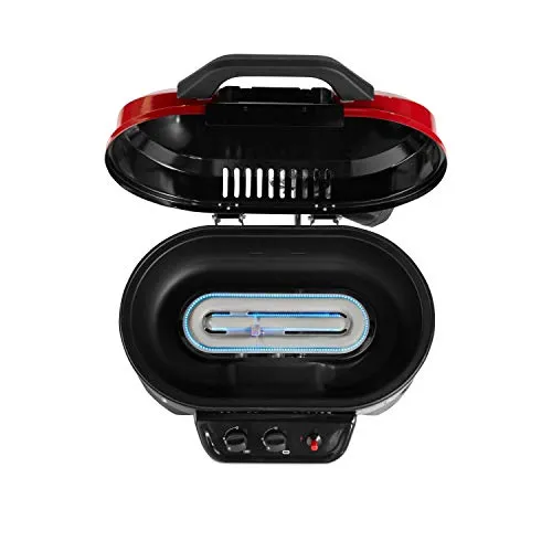 Portable Tabletop Propane Grill,Gas Grill with 2 Adjustable Burners