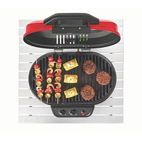 Portable Tabletop Propane Grill,Gas Grill with 2 Adjustable Burners