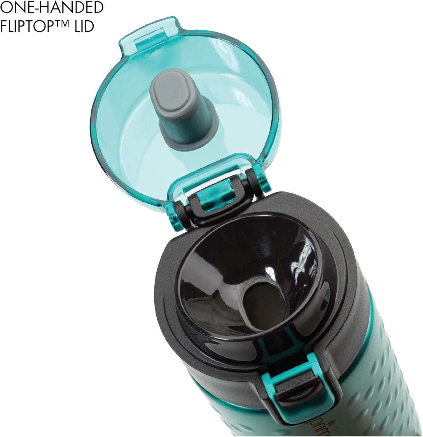Primula Hamilton Water Bottle Single Serve Double Wall, 12 oz, Teal