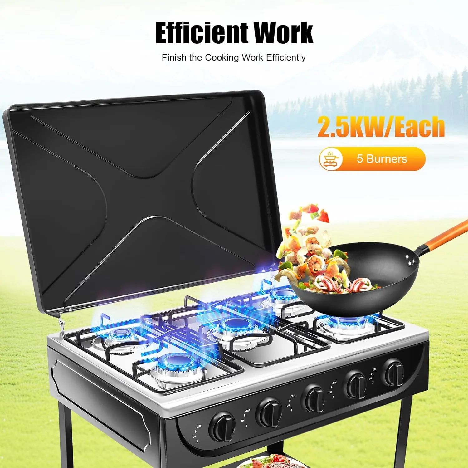 Propane Stove with 5 Burners Portable 2 Tier Storage Rack and Wind Blocking Cover Manual Ignition for Camping Picnic RV Cooking Outdoor Natural Grill (Black)