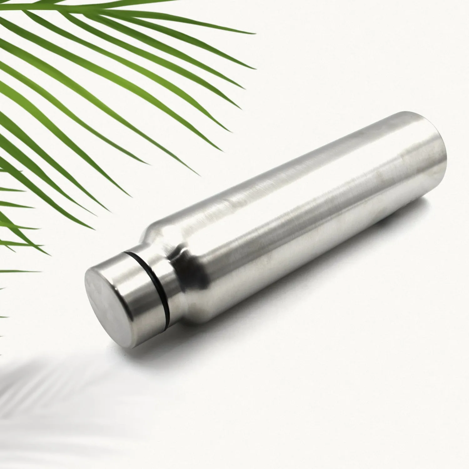Stainless Steel Water Bottle, Fridge Water Bottle office / Gym / School 1000Ml