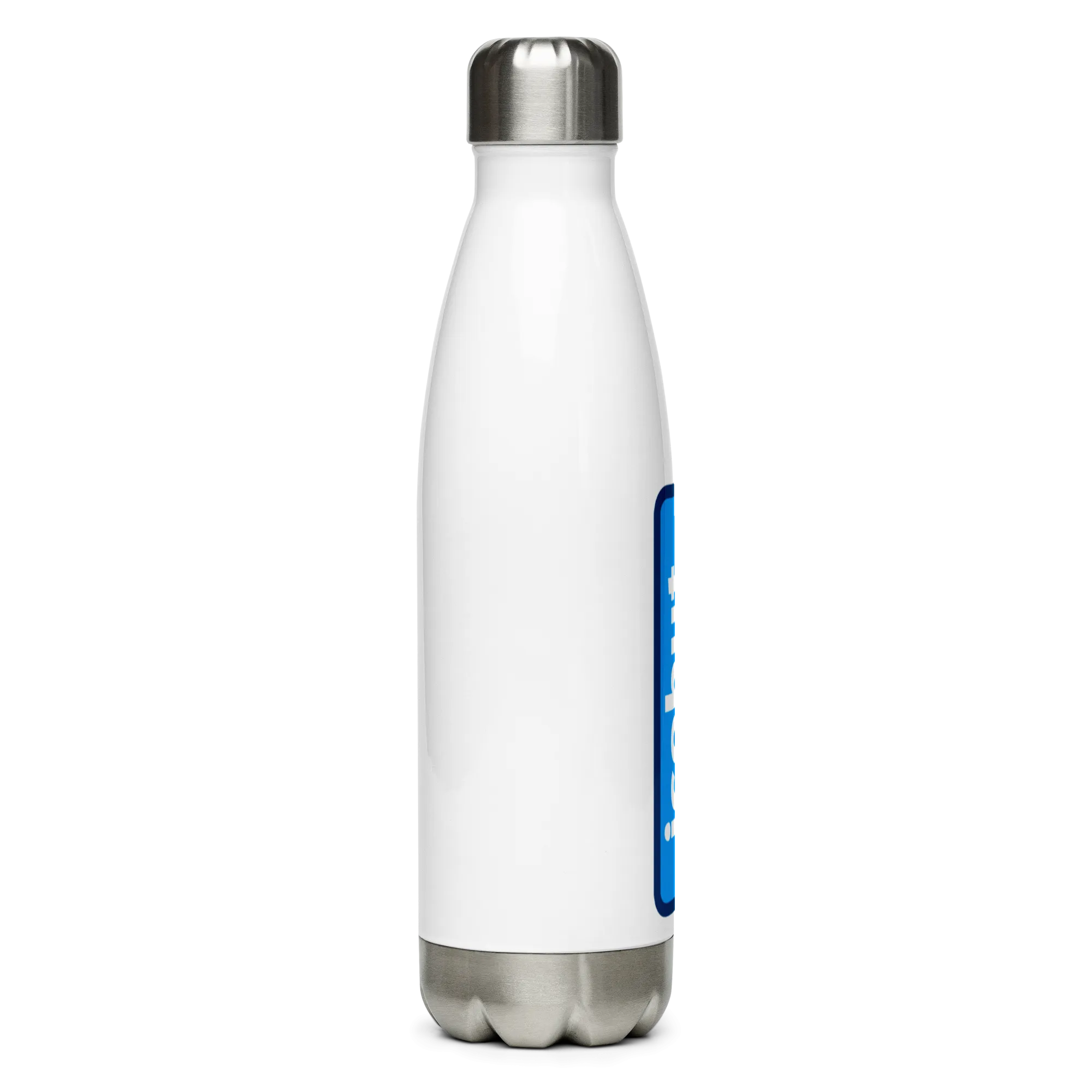 Stainless Steel Water Bottle