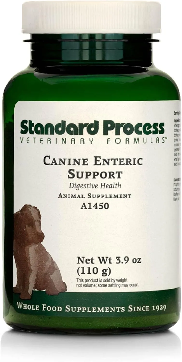 Standard Process Canine Enteric Support - Digestive System Support for Dogs - Nutritional Dog Supplement for Gut Health - Canine Supplement Formula to Aid Healthy Digestion - 110 g